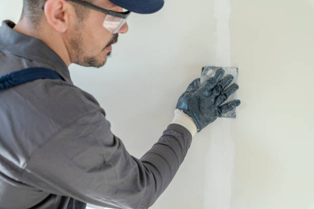 Best Basement Mold Removal  in Lemoyne, PA