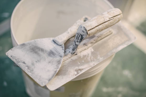 Best Real Estate Mold Inspection  in Lemoyne, PA