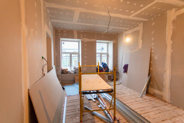 Best Commercial Mold Inspection  in Lemoyne, PA